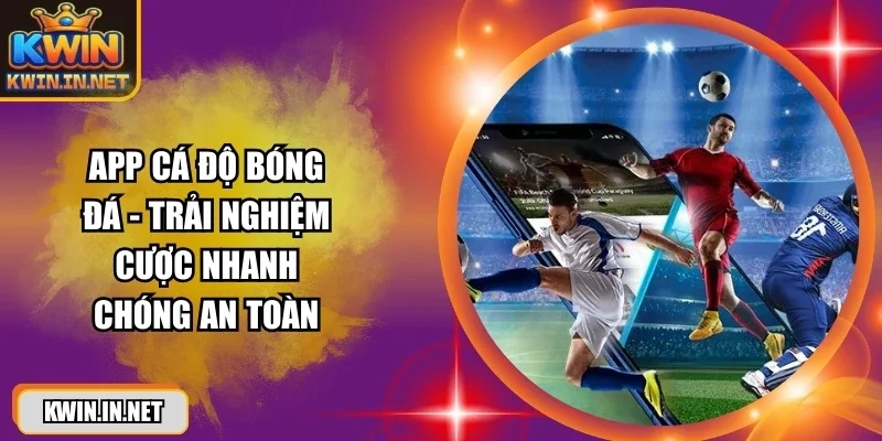 app-ca-do-bong-da
