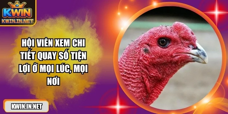 cach-xem-mat-ga-choi